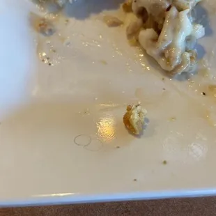 Hair found on my plate, half way through my meal.