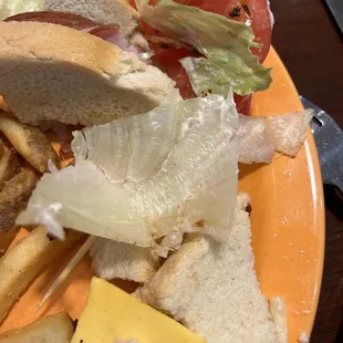 Moldy cheese, lettuce turning brown, stringy inedible ham.