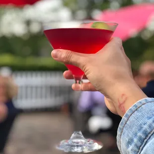 a person holding a wine glass