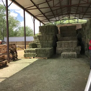 Loading up the truck!