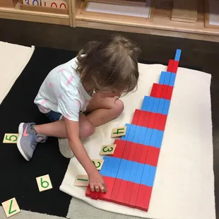 Village Montessori And Preparatory School
