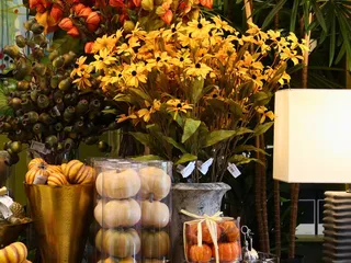 Beyond The Vine Flowers and Home Decor