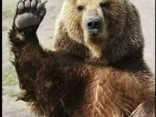 Northpark Residences