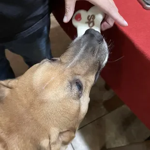 Enjoying her brother's birthday