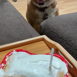 Happy 6th Birthday Dobby