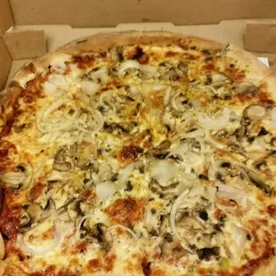 Onion and mushroom a little on the well done side