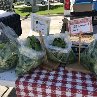 Harmony Farms from Gretna, NE, beautiful lettuce mixes with no chemicals.