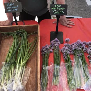 Heirloom green onions and beautiful chives with their purple blooms at Iowana Farms.