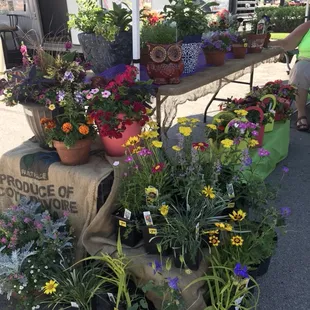 Dee Sign Landscaping has unique baskets.