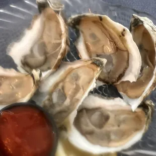 Chincoteague oysters