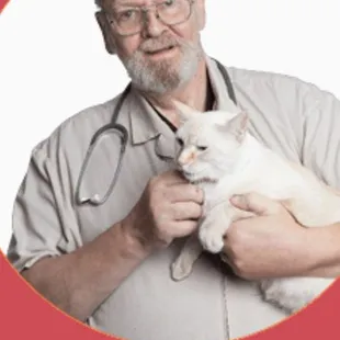 The Bet that Euthanize my Lucky without consent!