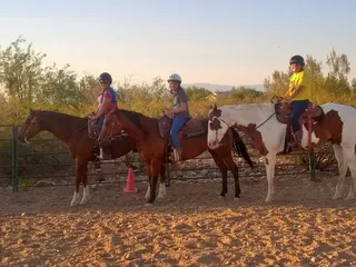 Its A Cinch Horsemanship