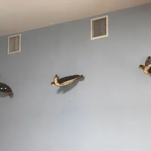 Interior design is very nice and comforting
