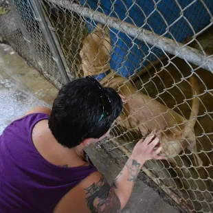 They love the butt rubs