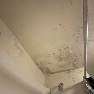 Mold in the bathroom
