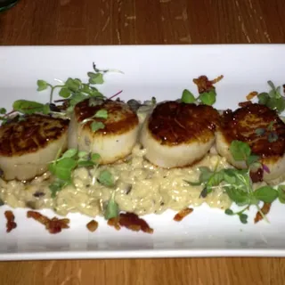 Sea Scallops