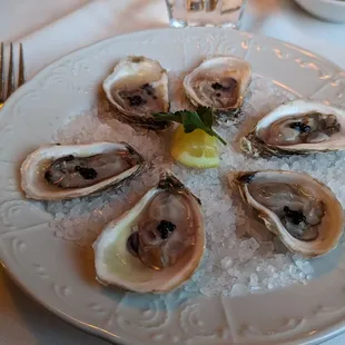 Beausoleil oysters!