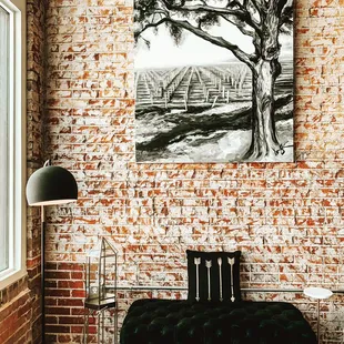 So much natural light fills every space, especially the living room area