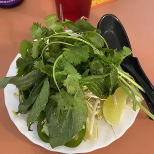 Items that come with the pho- basil, cilantro, limes, bean sprouts