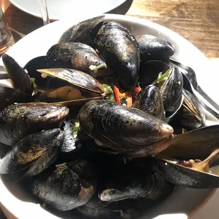 Mussels