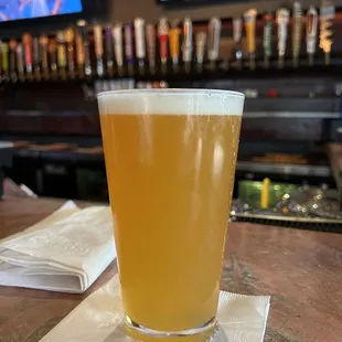 Electric Jellyfish of course!