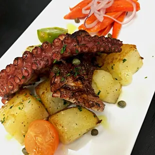 Octopus