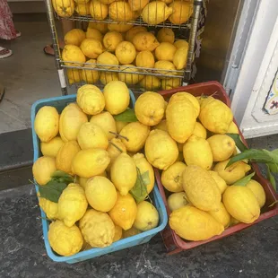 Fresh Lemons