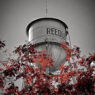 a water tower with red leaves