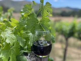 Delilah Ridge Winery