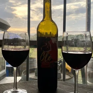 a bottle of wine and two glasses of wine