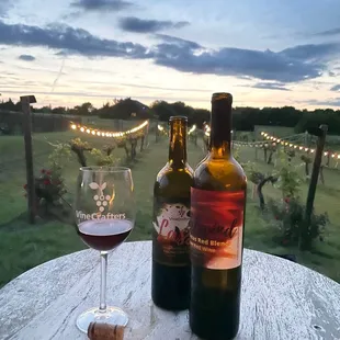 Wine, grapevines, sunset at Vinecrafters