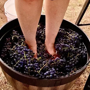 a woman's feet in a bowl of grapes