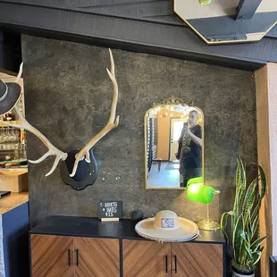 sushi and sashimi, interior