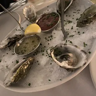 Freshly Chucked Oysters on the Half Shell