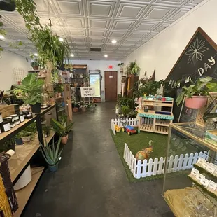 the inside of a store