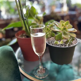 a glass of wine on a table