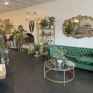 That green couch is everything
