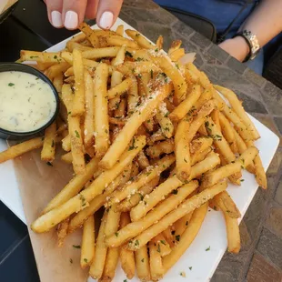 a plate of french fries