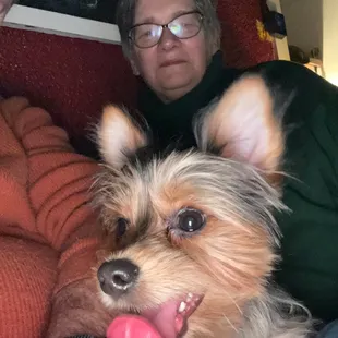 Chilling with the pups