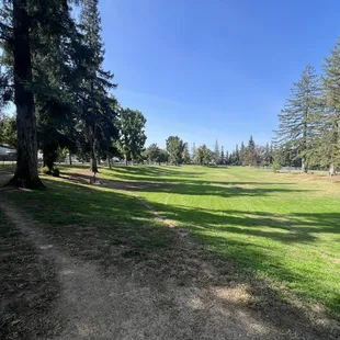 Vinewood Park