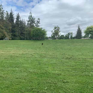 Awesome huge fenced dog park