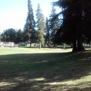 Beautiful, dog park.