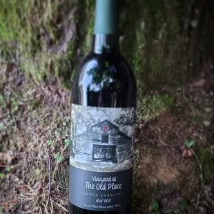 Red Muscadine