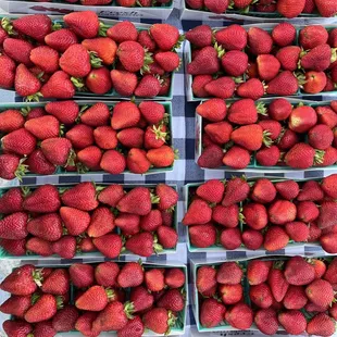 baskets of strawberries
