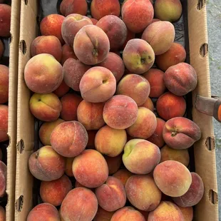 a box of peaches