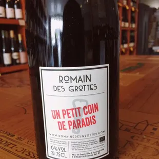 Refreshing off-dry sparkling Gamay from Beaujolais-Villages. Natty wine, no added sulfites.