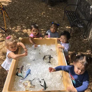 Our Toddlers "experiencing Antarctica