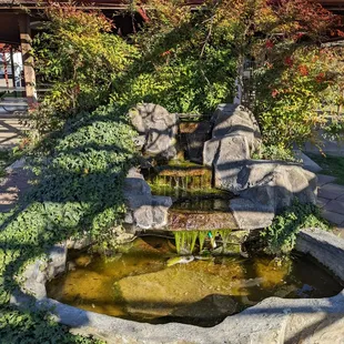 Vineyard RV Park