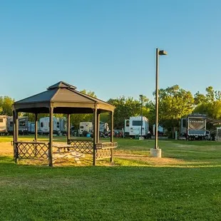 Premium back in sites