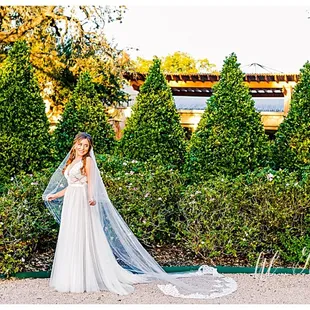 These bushes and that veil!